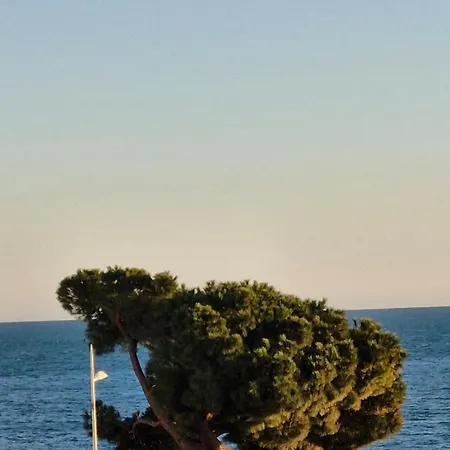 Juan-les-pins Centre Appartement